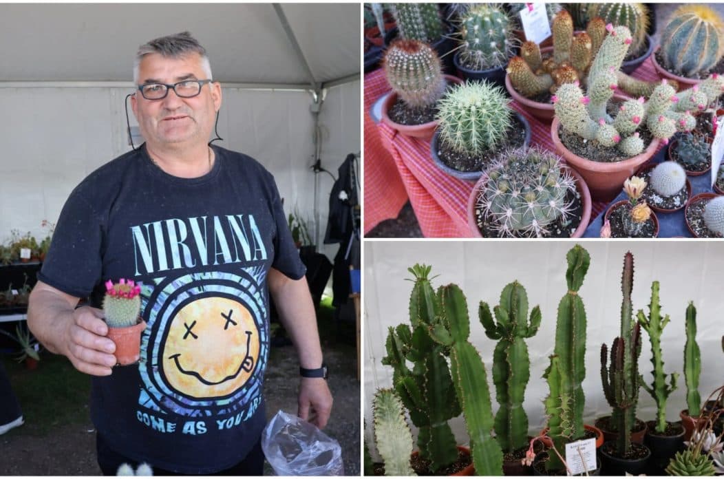 SAJAM CVIJEĆA Franjo Ciglarić iz Dunjkovca u carstvu kaktusa i sukulenata