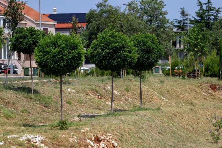 Zazelenilo se područje oko 12 retencijsko – infiltracijskih bazena na Bokanjcu