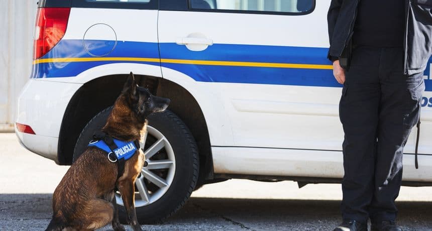 Zadarska policija od građana preuzela veliku količinu oružja, streljiva i eksploziva
