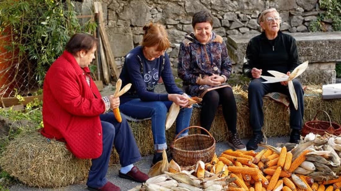Istarski kratki dokumentarci gostuju u Sloveniji u sklopu projekta &amp;quot;Istra u kadru&amp;quot;