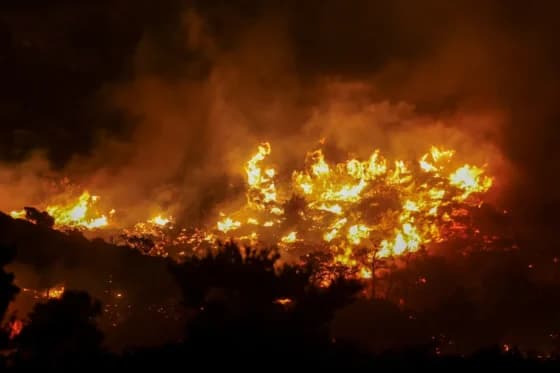 Više od 300 tisuća ljudi bježi pred požarima u Francuskoj i Španjolskoj