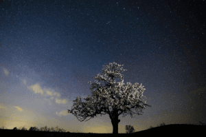 Srbija pristupila svemirskom programu NASA-e Artemis