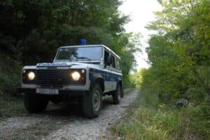 Rušeći stablo u šumi poginuo 59-godišnjak