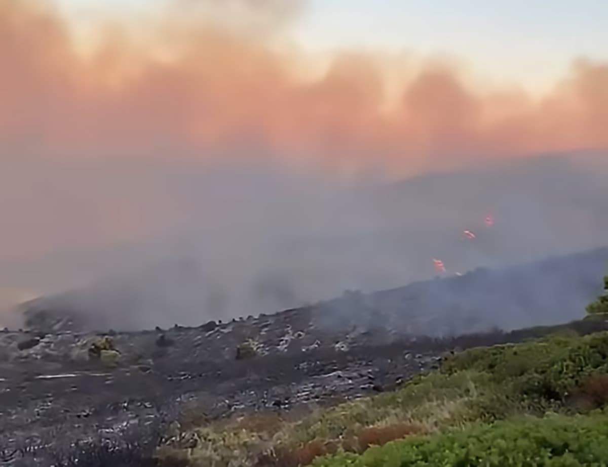 DUGI OTOK Očevidom utvrđen uzrok požara