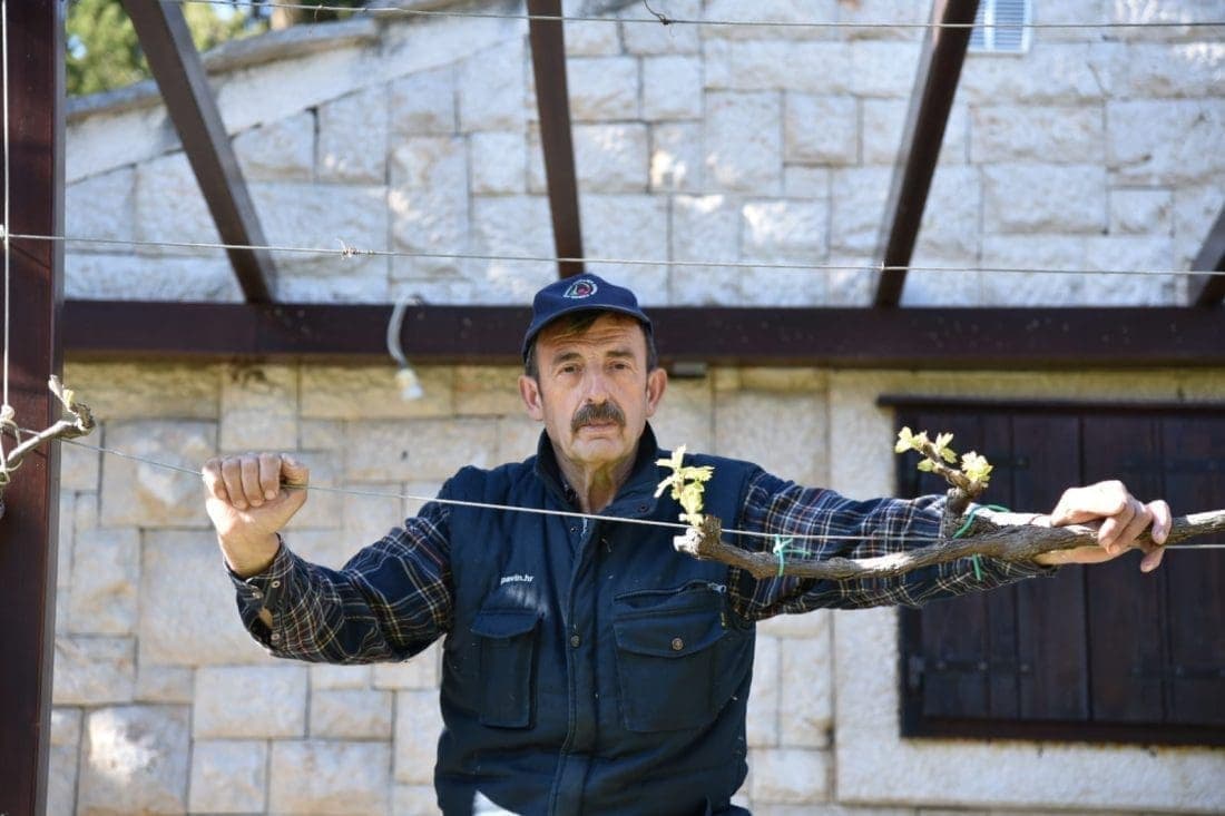 Napustio nas je Ante Vuletin, čovjek koji je ispisao kaštelansku vinsku povijest