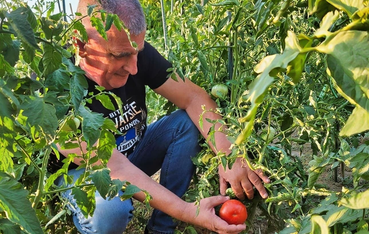 Miro Bulj pokazao plodove iz svog vrta: "Neopisivo je zadovoljstvo..."