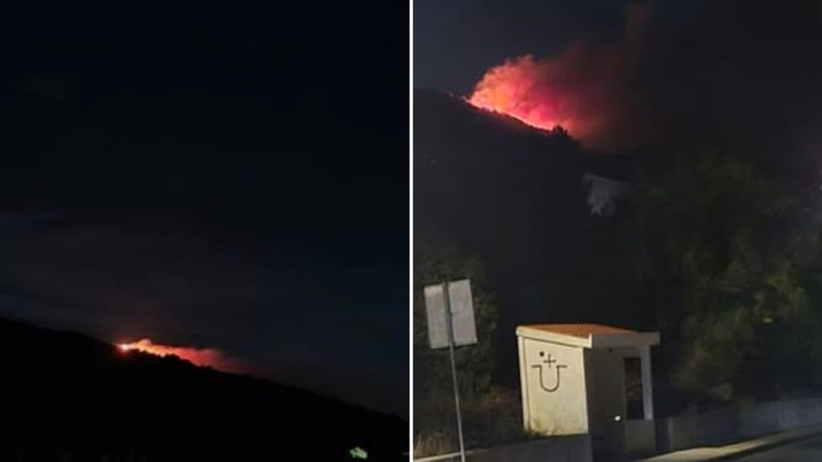 Veliki požar kod Dubrovnika! Vatra se ubrzano širi zbog vjetra, na terenu brojne vatrogasne snage