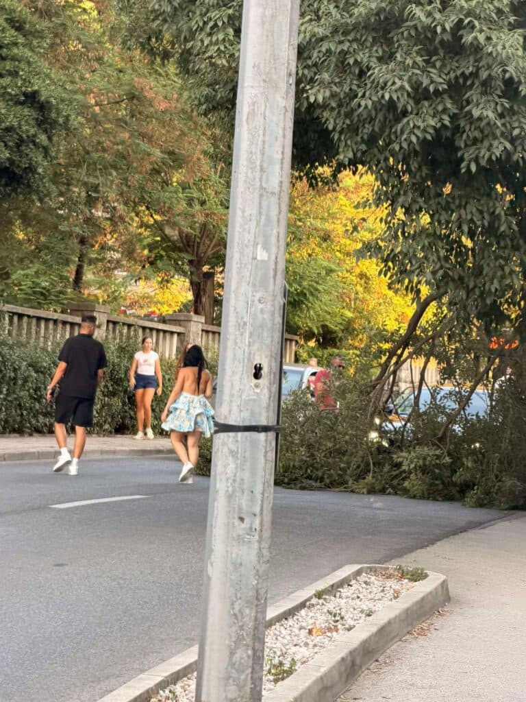 FOTO: U Vukovarskoj ulici velika grana pala na cestu