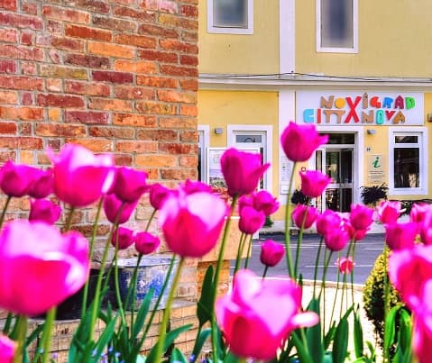 Besplatno cvijeće za građane Novigrada – Evo kada i gdje možete preuzeti sadnice