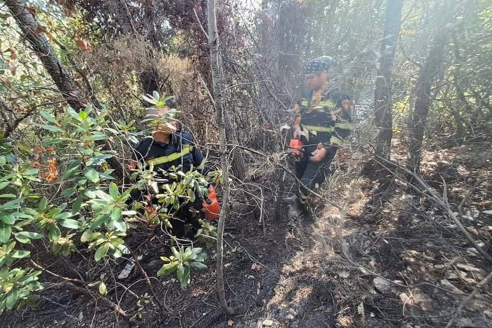 SANACIJA SE NASTAVLJA Požar kod Blata pod kontrolom, ali još nije lokaliziran: Na terenu dežura 60 vatrogasaca