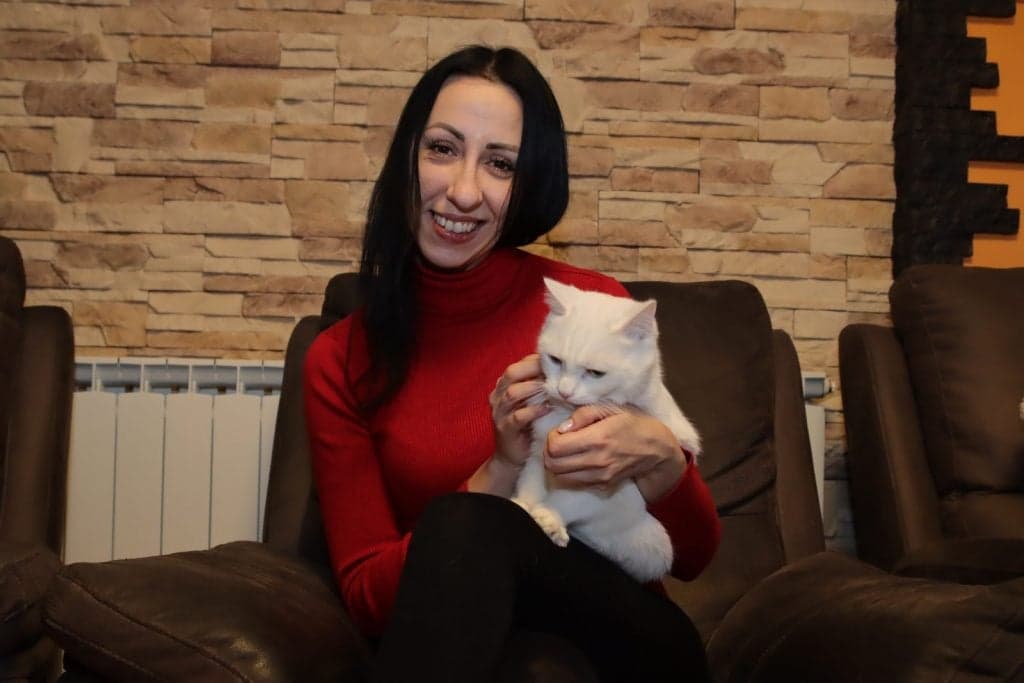 Lipanj je mjesec udomljavanja mačaka: Tisuće mačaka čekaju svoju priliku možda baš kod vas