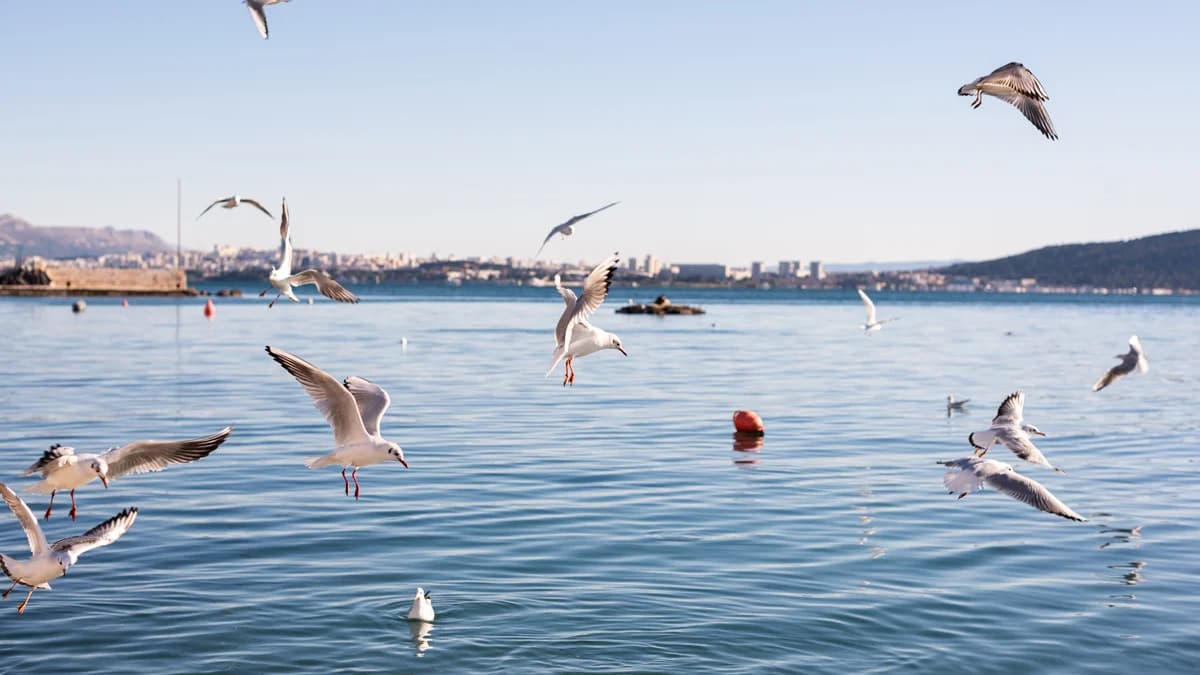 DHMZ: Sunčan i topao vikend