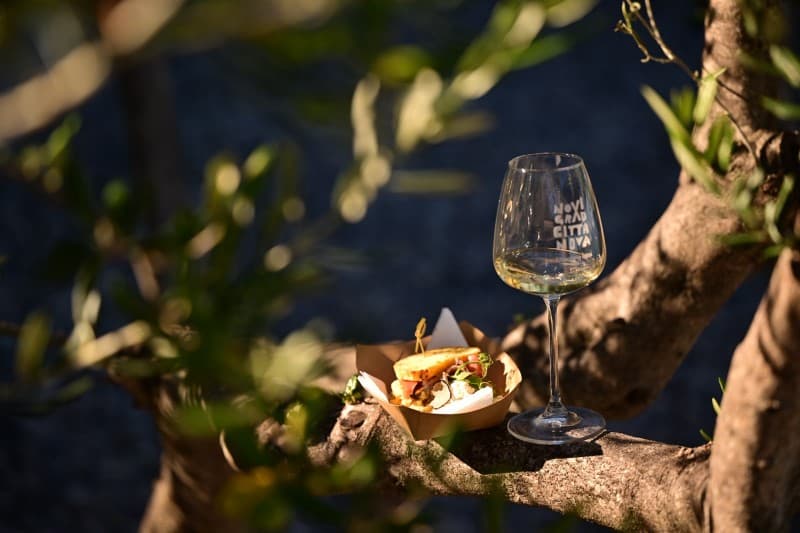 U Medulin stiže Wine &amp; Gastro! Posjetitelje očekuju vrhunska vina, delicije i besplatan ulaz
